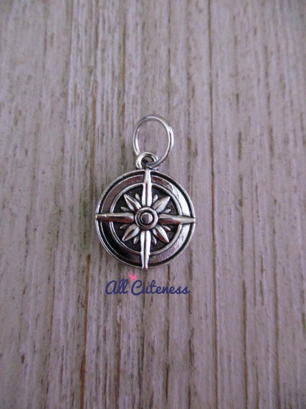 🎀 Compass Charm